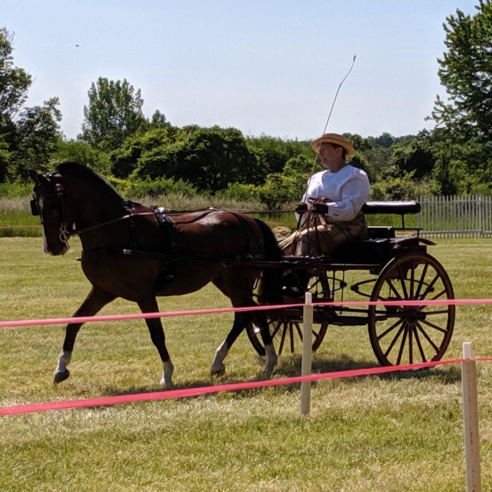 Meet your Posher, Mary
